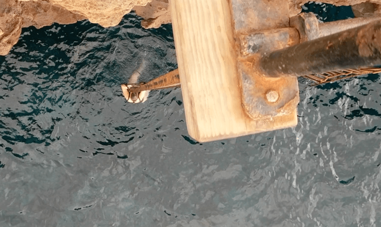 Screen Shot 2018-03-16 at 11.39.58 AM.png