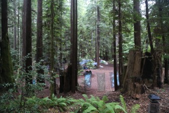 20180526092641_IMG_5727