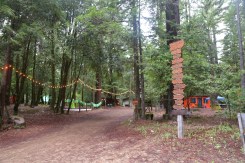 20180526094434_IMG_5744